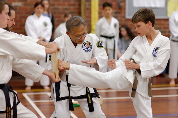 First Tae Kwon Do Master Vernon Low teaching, October 2016, Perth