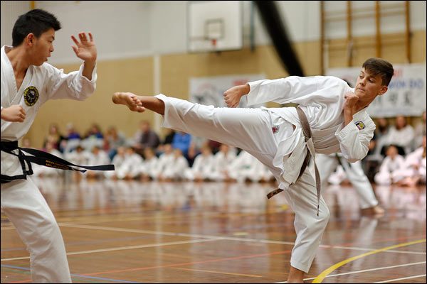 First Tae Kwon Do free sparring, June 2017, Perth