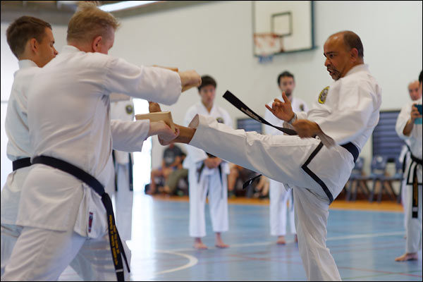 First Tae Kwon Do front snap kick, April 2019, Perth