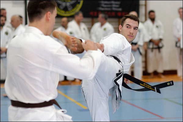 First Tae Kwon Do free sparring, February 2023, Perth